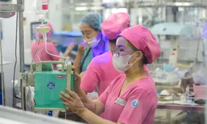 'Khó khuyến sinh nếu doanh nghiệp bực khi nhân viên nghỉ đẻ'